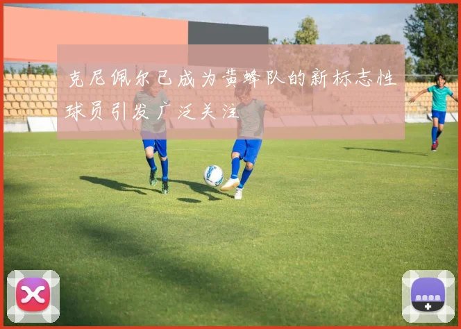 克尼佩尔已成为黄蜂队的新标志性球员引发广泛关注